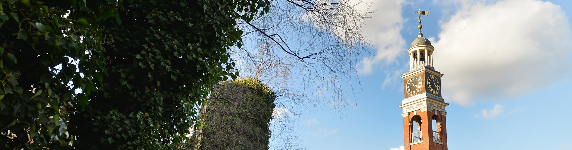 Watchtower viewed through trees
